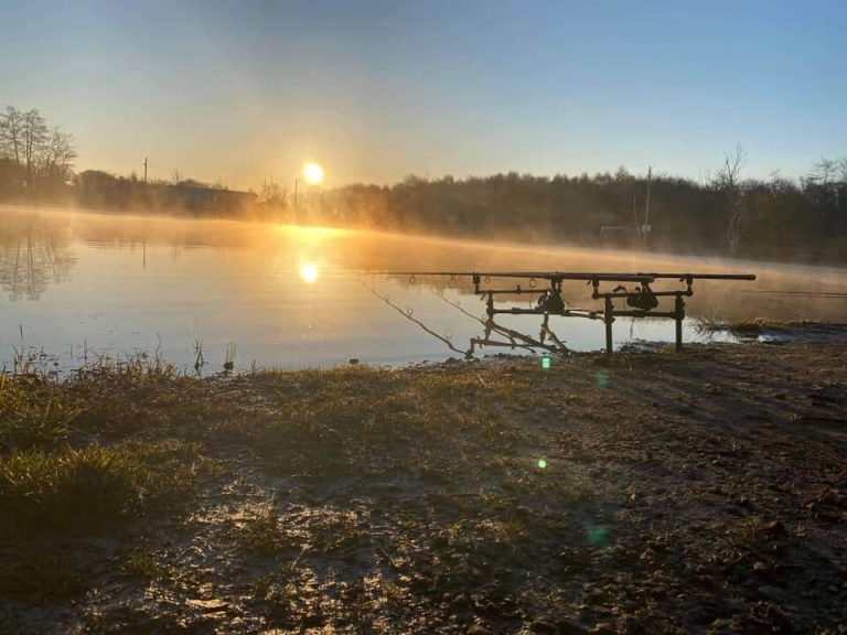 Stub Pond Fisheries